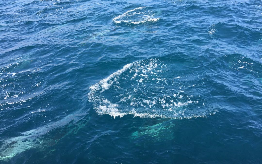 Riding Waves